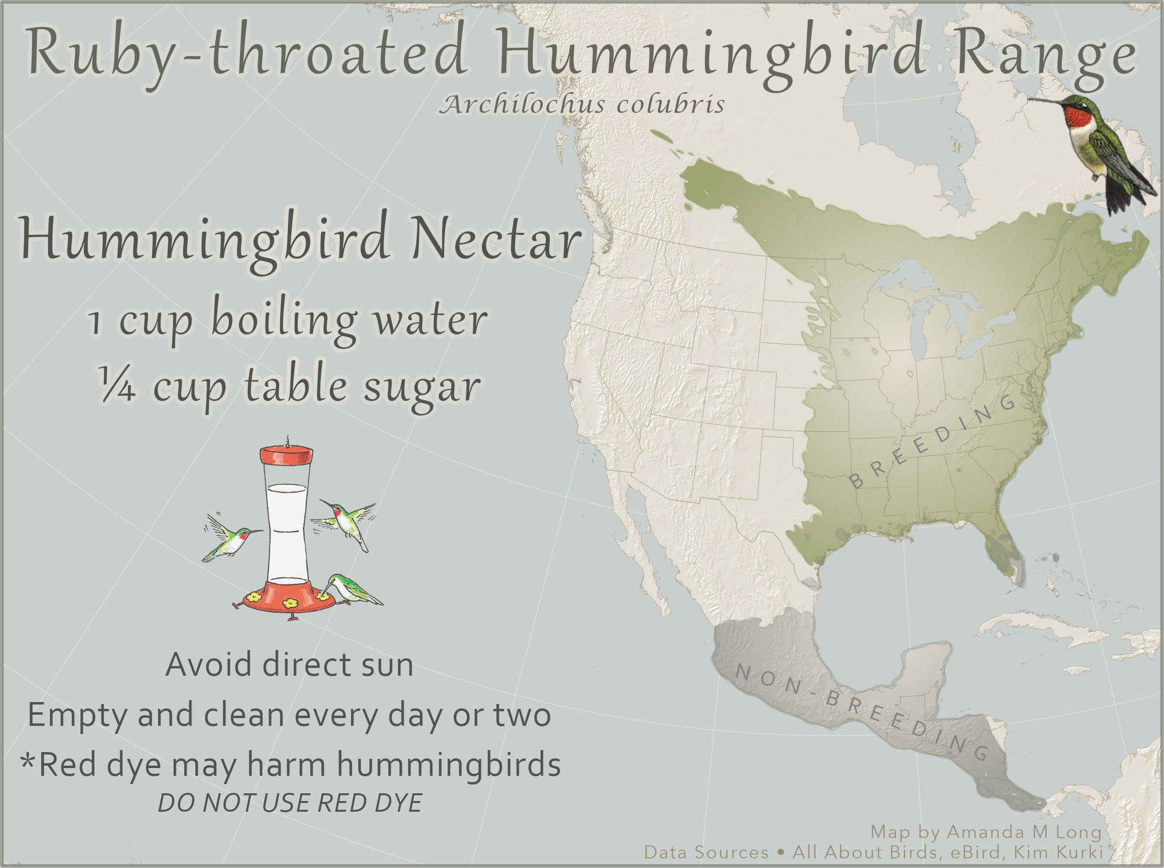 Map of Ruby-throated
                                   hummingbird range with 1/4 cup sugar and 1 cup water recipe to make hummingbird food.